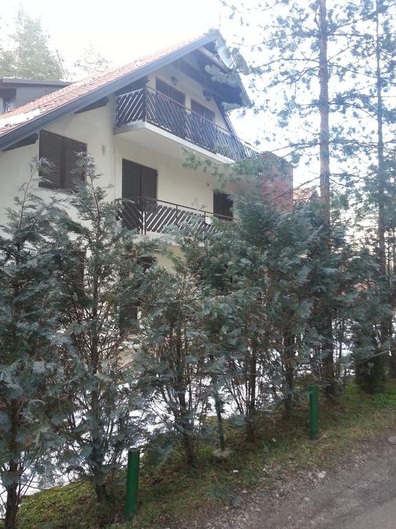 Apartment 9 Gorska Vila Zlatibor Exterior foto